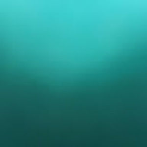 Meet your Posher, Breann